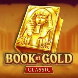 game logo by Playson on cowboyspincasinos.de
